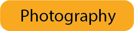 portfolio button